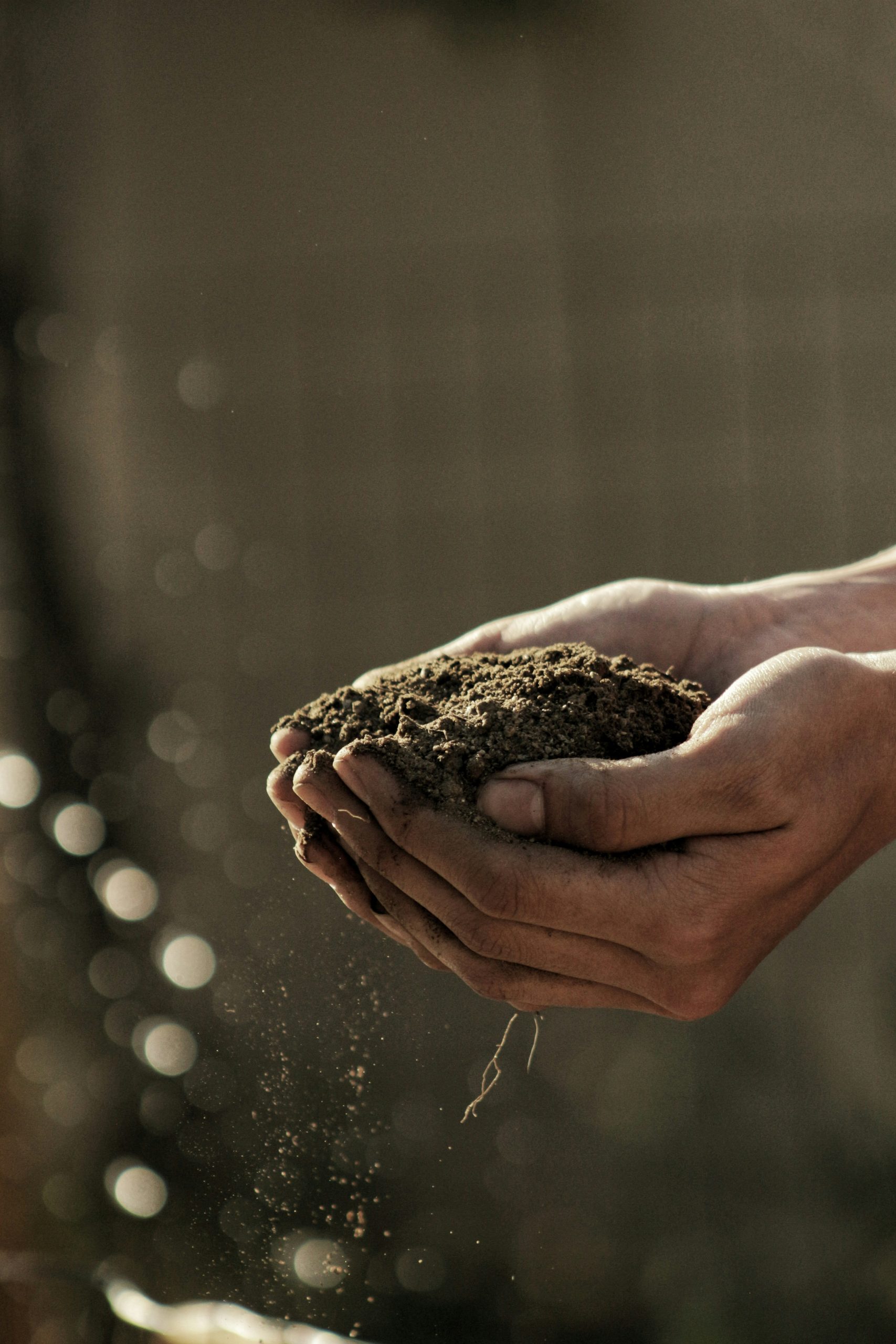Innovations en agriculture Les pratiques et outils les plus avances