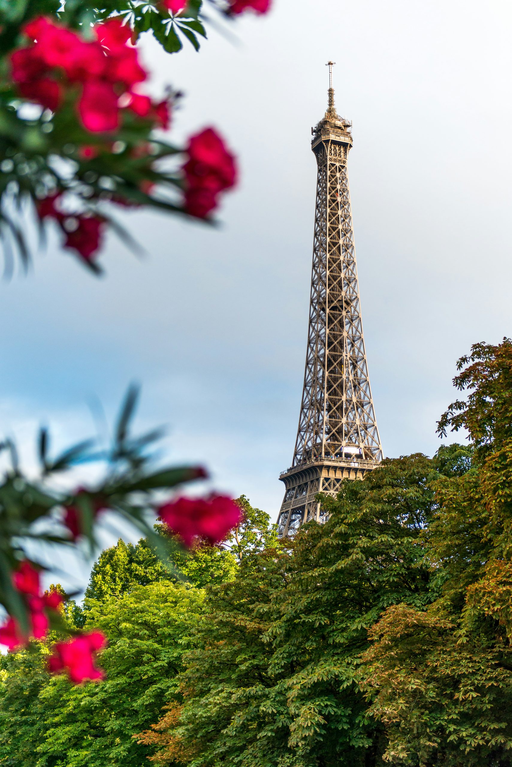 Tendances culinaires émergentes en France en 2024