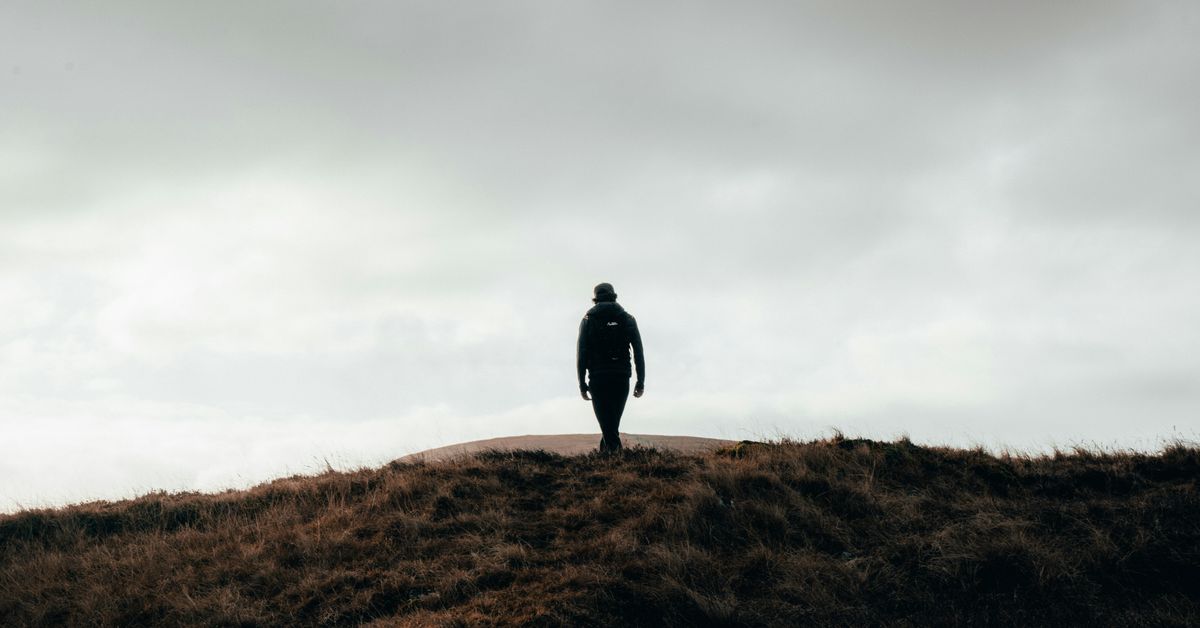 Effets du changement climatique sur les écosystèmes terrestres