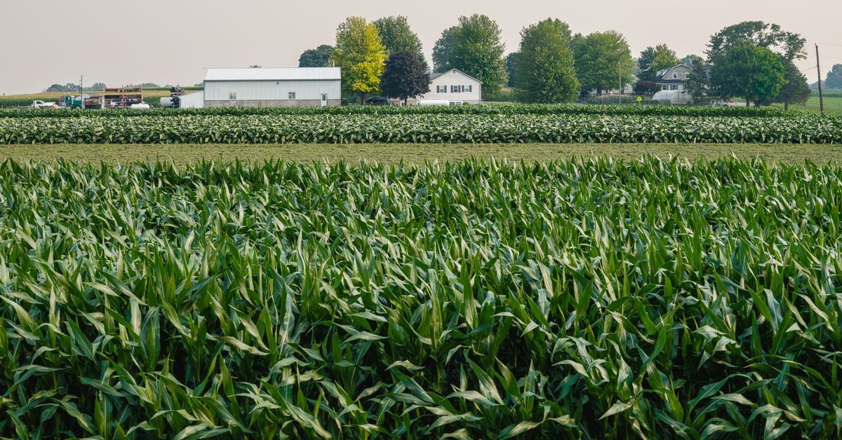 Innovations en agriculture Pratiques avancees et outils pour une production durable