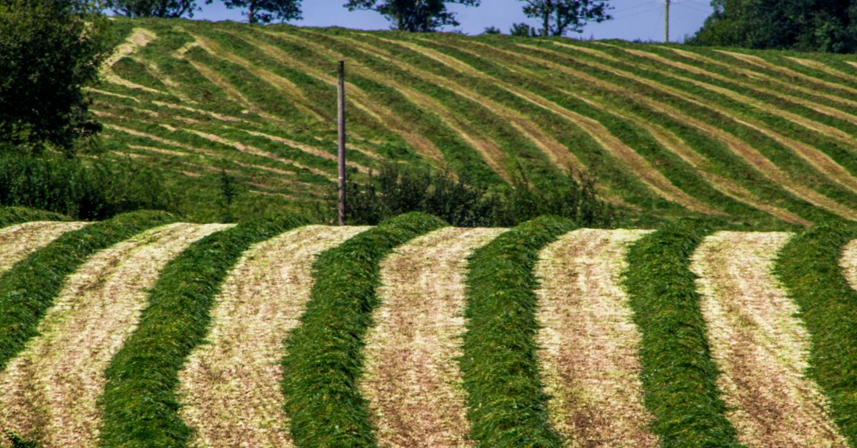 Innovations en technologie de l’agriculture