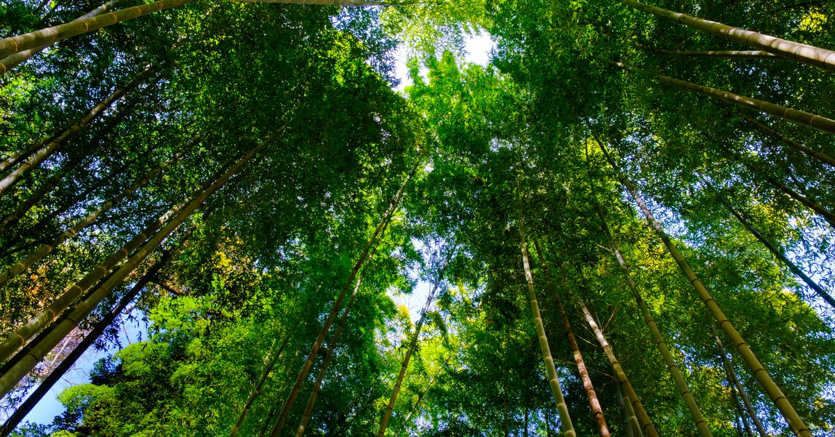 Gestion des ressources naturelles Solutions technologiques pour une exploitation durable