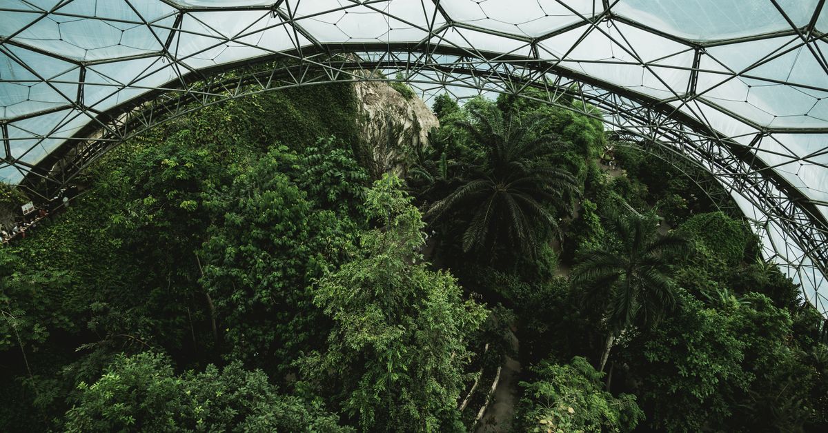 Solutions technologiques pour une gestion durable des ressources naturelles
