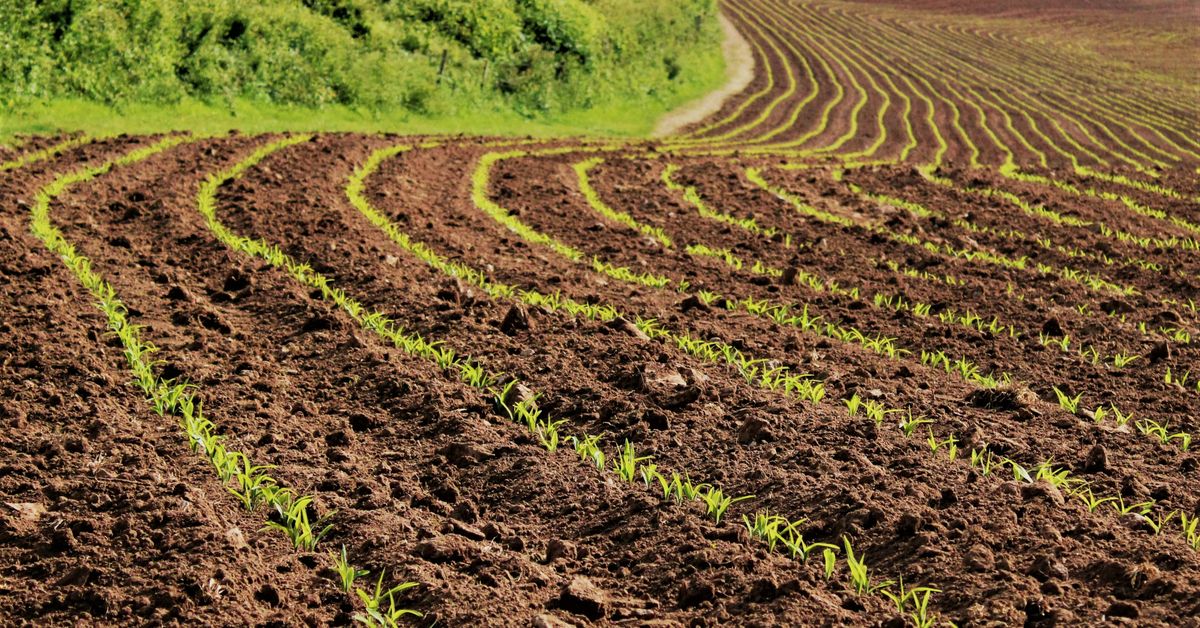 Technologies pour la préservation des sols agricoles
