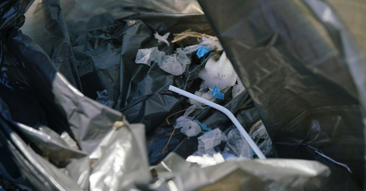 Technologies revolutionnaires dans le recyclage et la gestion des dechets
