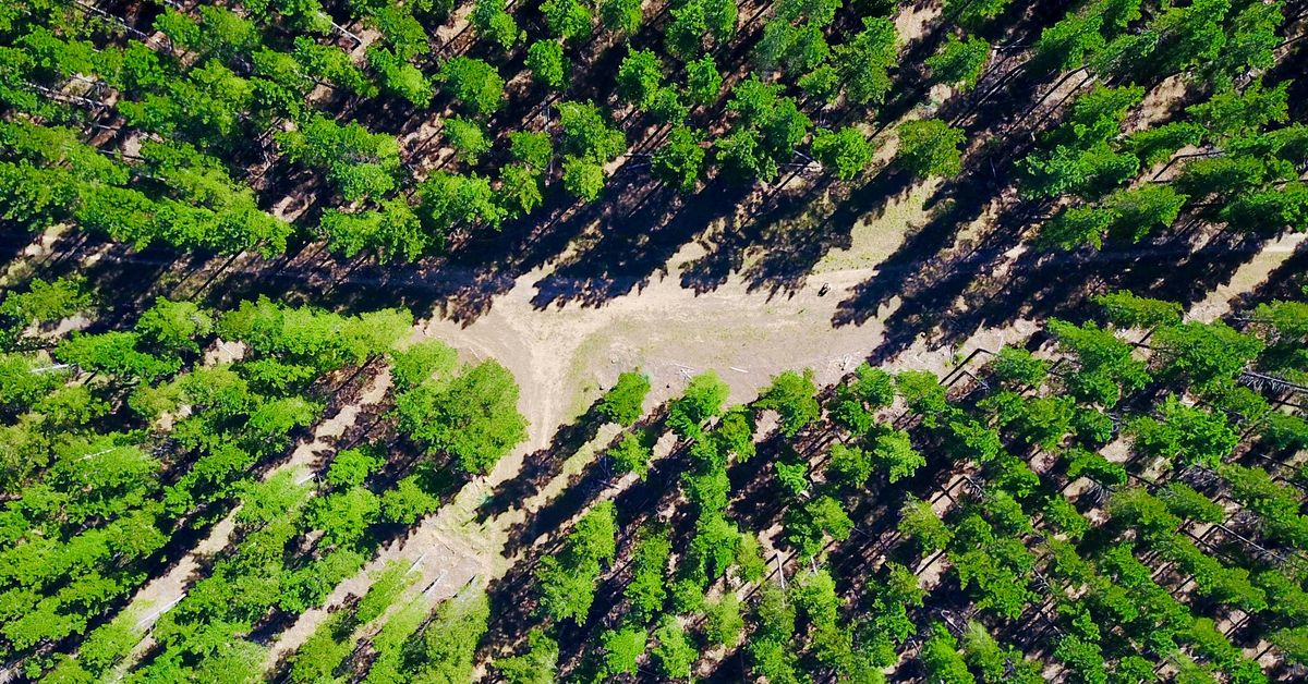Technologie change la facon d’utiliser les ressources naturelles