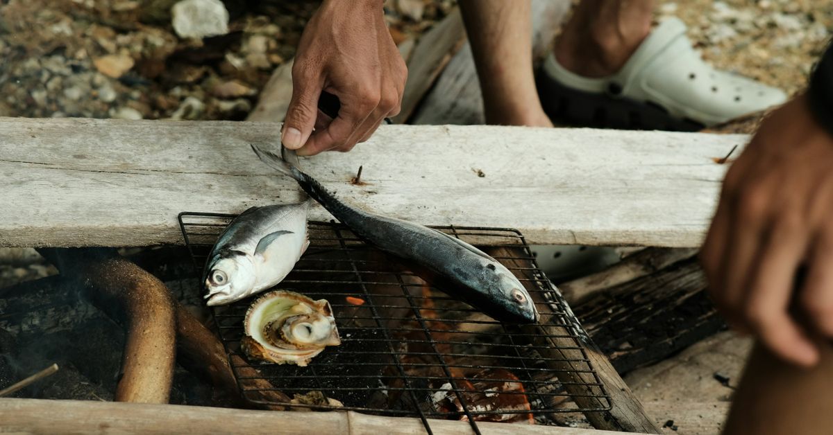 Effets des pratiques de pêche durable sur l’économie